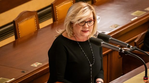 Alena Schillerová (hnutí ANO) ve Sněmovně při projednávání a schvalování novely o růstu televizního a rozhlasového poplatku s rozšířením okruhu poplatníků (24. ledna)